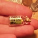 The Ultimate Nano Geocache - Cash Cache with Travel Bug Tag Charm great swag or gift