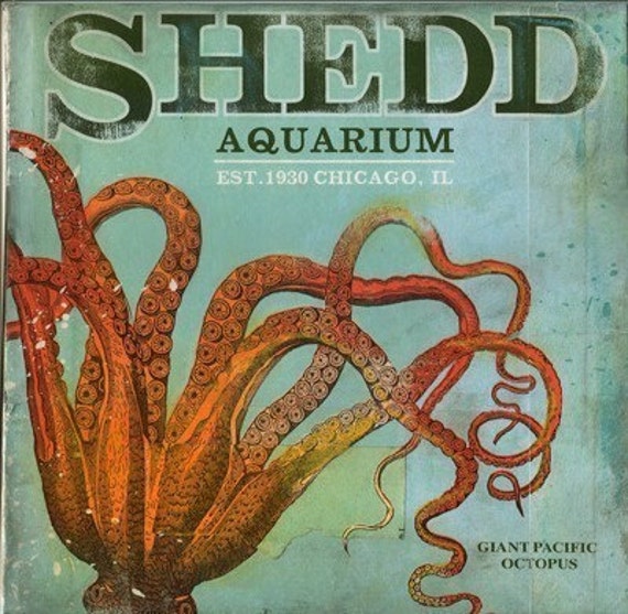 Shedd Aquarium Octopus Chicago poster style collage art on