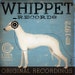 Whippet records 20 x 20 print graphic art illustration giclee archival print signed artists print by Stephen Fowler