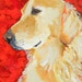 Golden Retriever Dog Art Signed Print by Ron Krajewski