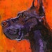 Great Dane Original Acrylic Painting 11x14