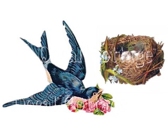 BLuEBIRD NeSTS WaTERSLIDE DECaLS vintage style BIRDs transfers