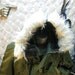 N2 B Flight Jacket fur Hood jacket
