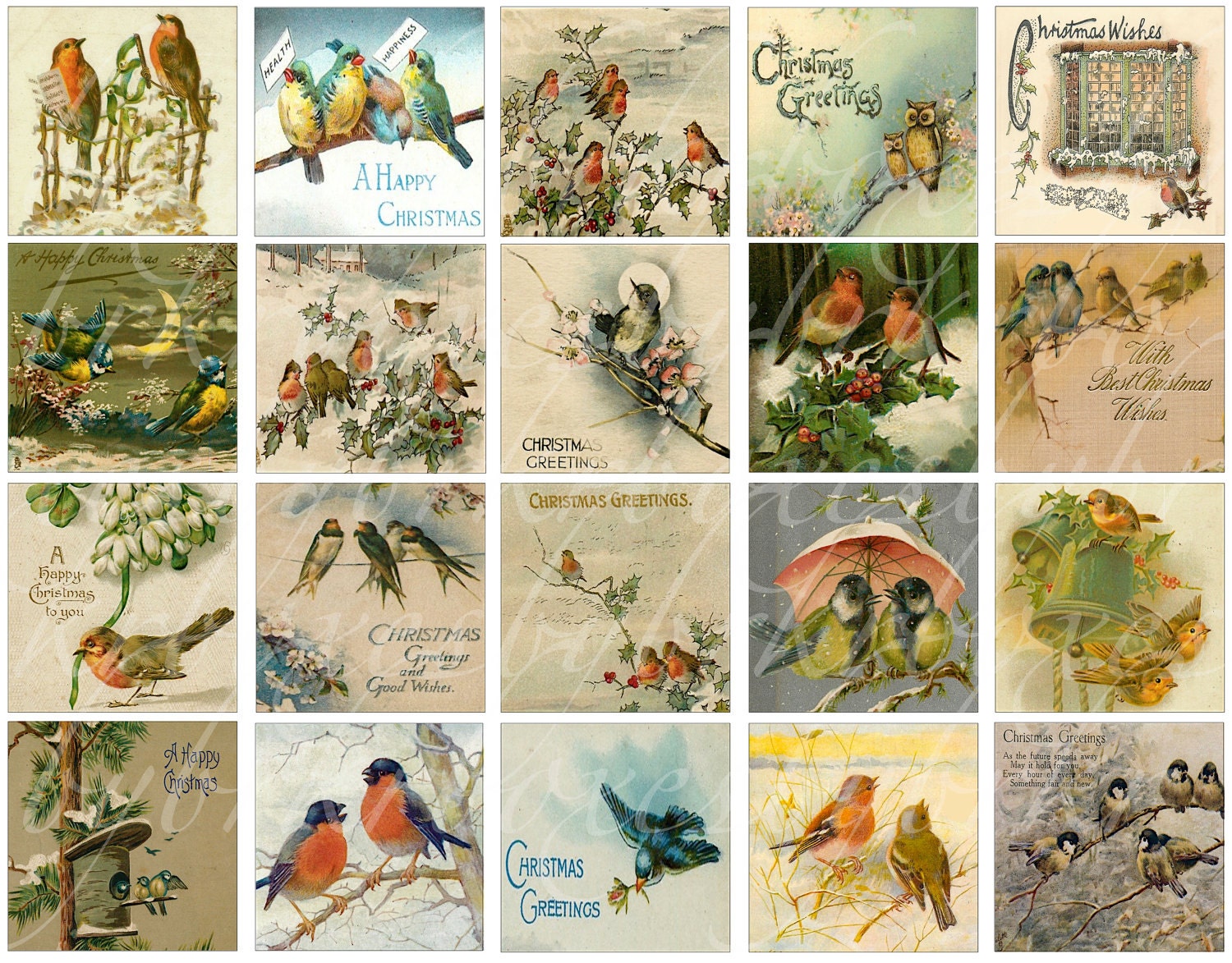 immediate download of 20 Christmas bird vignettes by boxesbybrkr