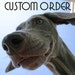 Custom Order for stripedsock