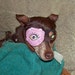 Dog or Human Eye Patch CUSTOM MADE