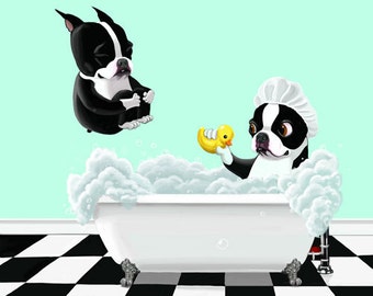 Boston terrier art, Bath Time - Boston Terrier Dog Art print