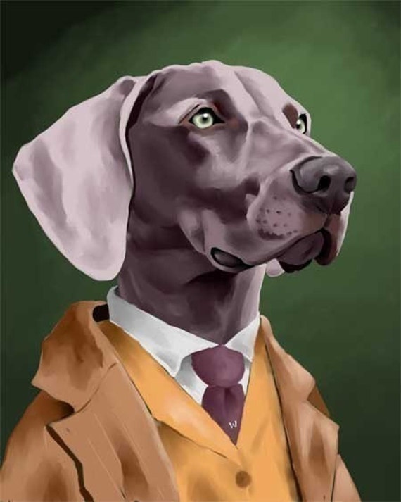 Weimaraner In Clothes