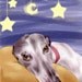 sleepy greyhound art print by B Rubenacker