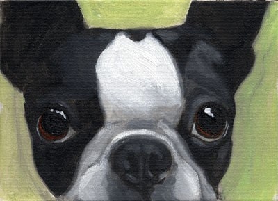 Boston terrier PRINT from oil painting