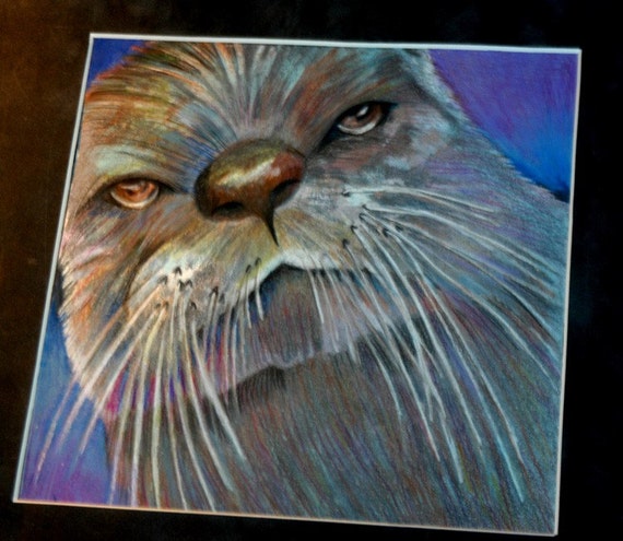 original color pencil drawing otter face alaska by ArtistSuePerez