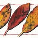 The Glory of Trees: original watercolor