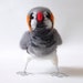 Needlefelted Pet Bird Zebra Finch