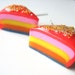 Yummy Colorful Rainbow Cake Slice Earring Studs