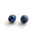Blueberries Earrings - Studs Dark Blue Berry Summer Fruit Free Shipping Etsy