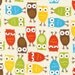 Urban Zoologie SLICKER LAMINATED Fabric by Ann Kelle for Robert Kaufman, Owls in Bermuda- 1 Yard