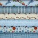 Scoot Fabric by Deena Design for Riley Blake- Blue 1/2 Yard Bundle, 6 total