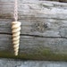 Baby narwhal (Monodon monoceros) tooth or Baby unicorn horn, if you prefer so by Tanja Sova
