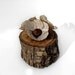 Jane Eyre Acorn 27 y/o Branch Rustic Natural Oak Quercus Wooden Ring Trinket Box by Tanja Sova