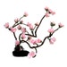 Love Enchanted Sakura Gnarl Bonsai - Prunus serrulata - by Tanja Sova