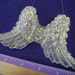 Three Dimensional Angel Wings Iridescent 3 by 5 1/2 inches D 77