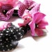 Statement Necklace in Black and Pink - Magenta Poppy Tree
