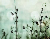 Nature Photography, Grass Silhouettes, Magical and Dreamy Wall Art, Nursery Print, Black, White, Blue Nature Photography, Grass Silhouettes, Magical and Dreamy Wall Art, Nursery Print, Black, White, Blue