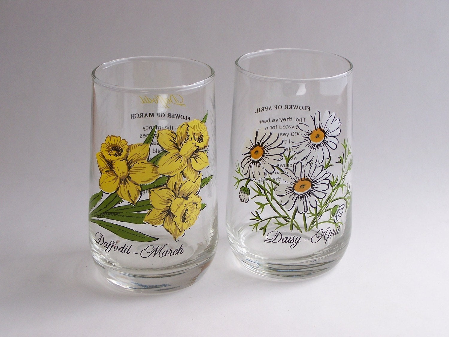 Vintage Flower of the Month Glasses January and July