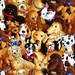 By the Yard Timeless Treasures STACKED DOGS Brown BART-C6098 Fabric