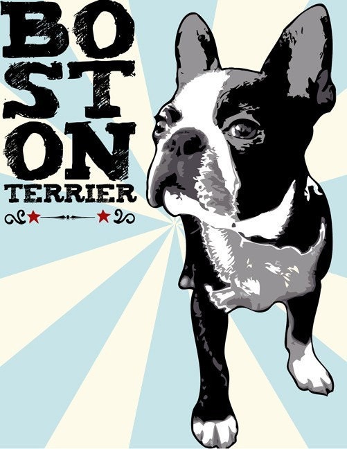 BOSTON TERRIER Pop Art style original Pet Portrait 8.5X11