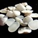 Beach Blanc Melange White beach sea glass for jewelry, crafts, home decor. sea shells