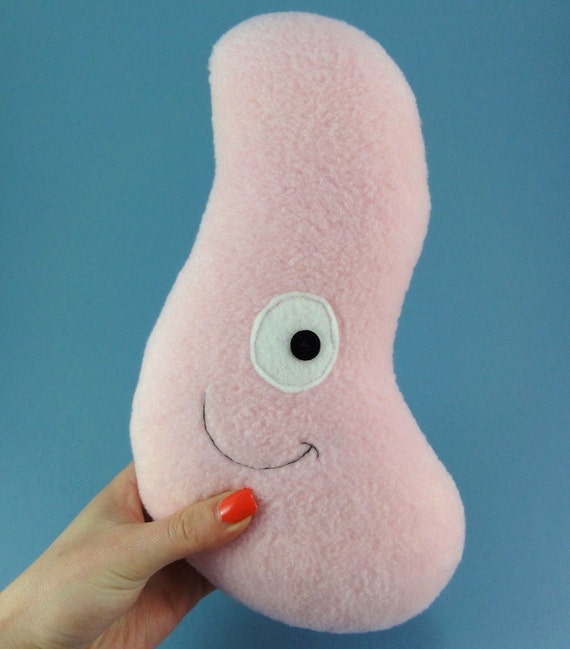 stuffed organs plush