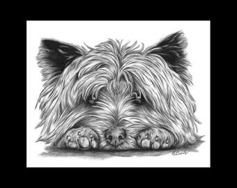 Cairn Terrier on Paws Dog 8 X 10 Signed Giclee Fine Art Print