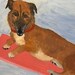 RESERVED Dog Original Painting with Boogie Board Vintage