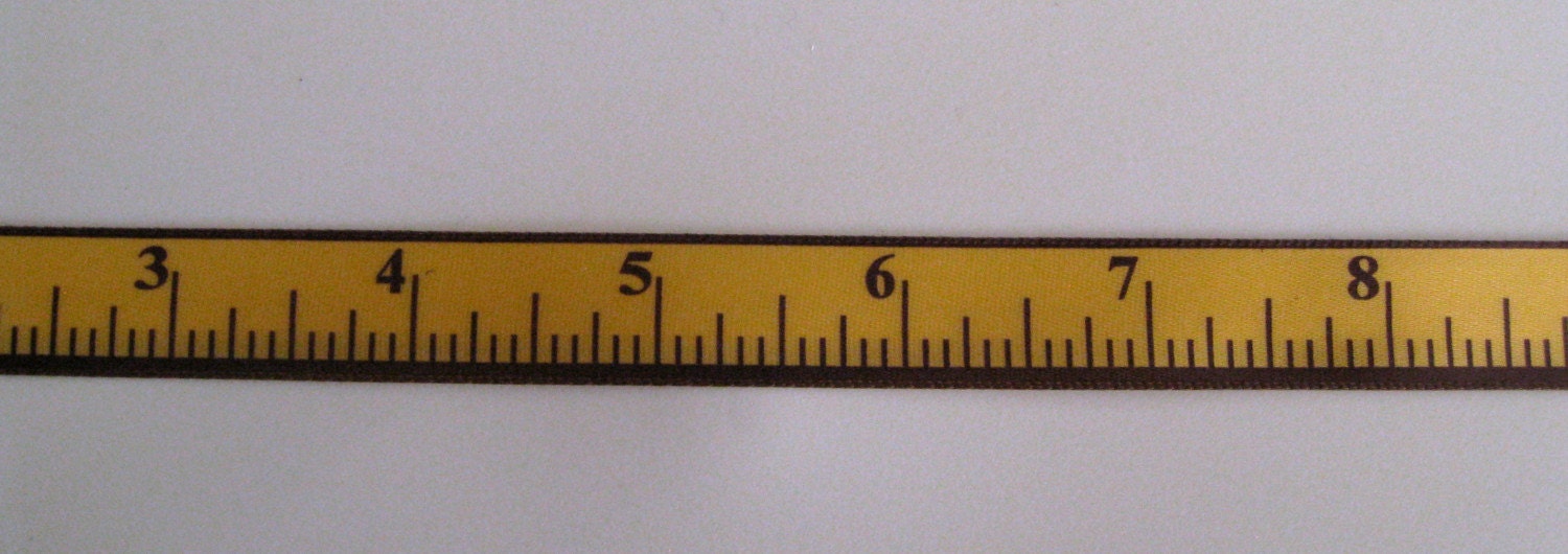 8 inch rulers