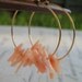 Coral Earrings, Gold Hoop Earrings, Pink Bamboo Coral 14k Gold Filled Hoop Earrings