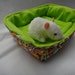 Paisley Snugglie Bed for Rat Hedgehog Guinea Pig Chinchilla Bearded Dragon