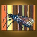 SALE African Wasp -- 18 x 24 original oil painting -- Ready to Hang