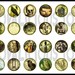 24 Goth Vintage Halloween Illustrations Flat Back Buttons or Pin Back Buttons or Hollow your choice
