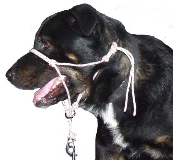 Items similar to Rope Dog Head Halter Does your dog pull your arm while