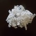 LOWEST PRICES--100 White No Slip Grip Liners for Single and Double Prong Alligator Hair Clips