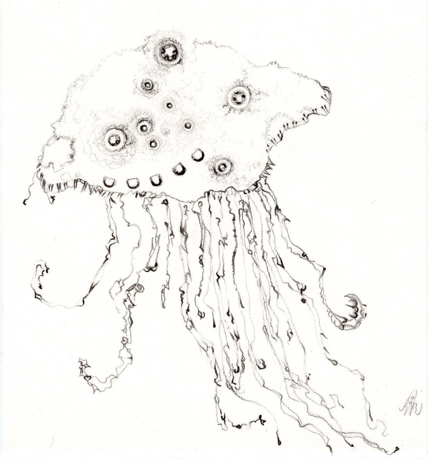 Jellyfish Drawing 8.5x11 Black and White Print Sea Creature