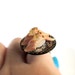 Japanese Sushi pieces on floral black plate Food Ring