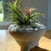 SALE Tiny Handmade ZEN Mini Concrete Terrarium with Rubra Air Plant