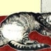 ACEO PRINT tummy kitty SWEET CAT ART