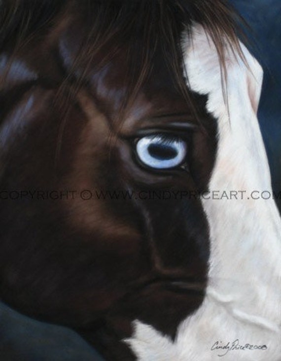 Blue Eye Paint Horse equine art Print of original pastel