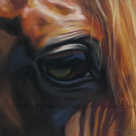 Horse Eye equine art Print of Original pastel painting