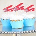The Vintage Plane Collection - Custom Listing RESERVED for SWETA LEE