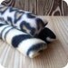 Wild Cat Kick Sticks - Catnip Toys for your Kitty - Set of 3