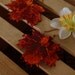 Real Sugar Maple Leaf Copper Earrings 3